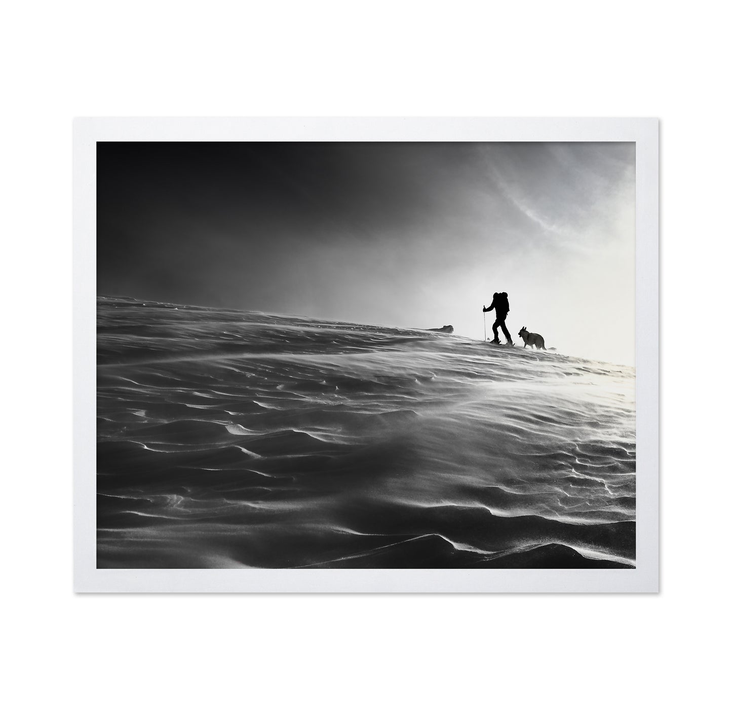 Against The Wind