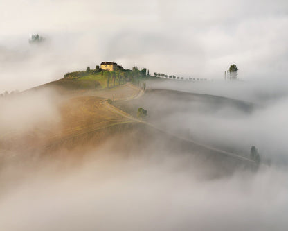 The Mist