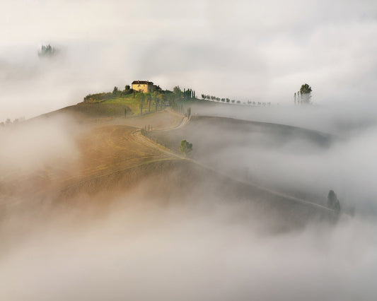 The Mist