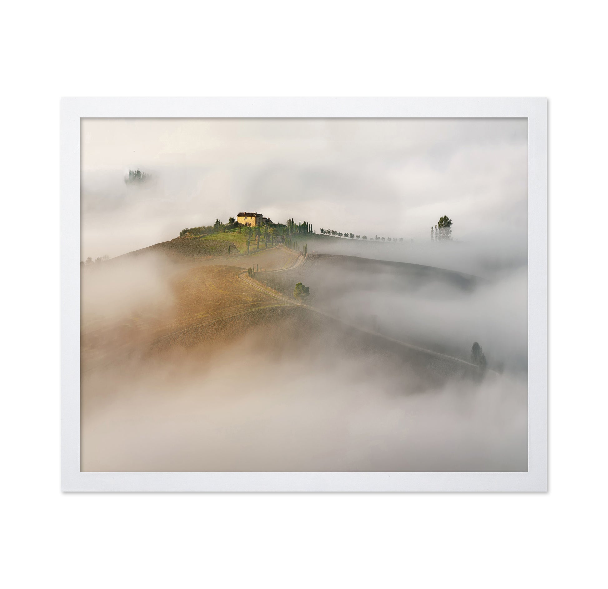 The Mist