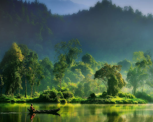 Painting of Nature