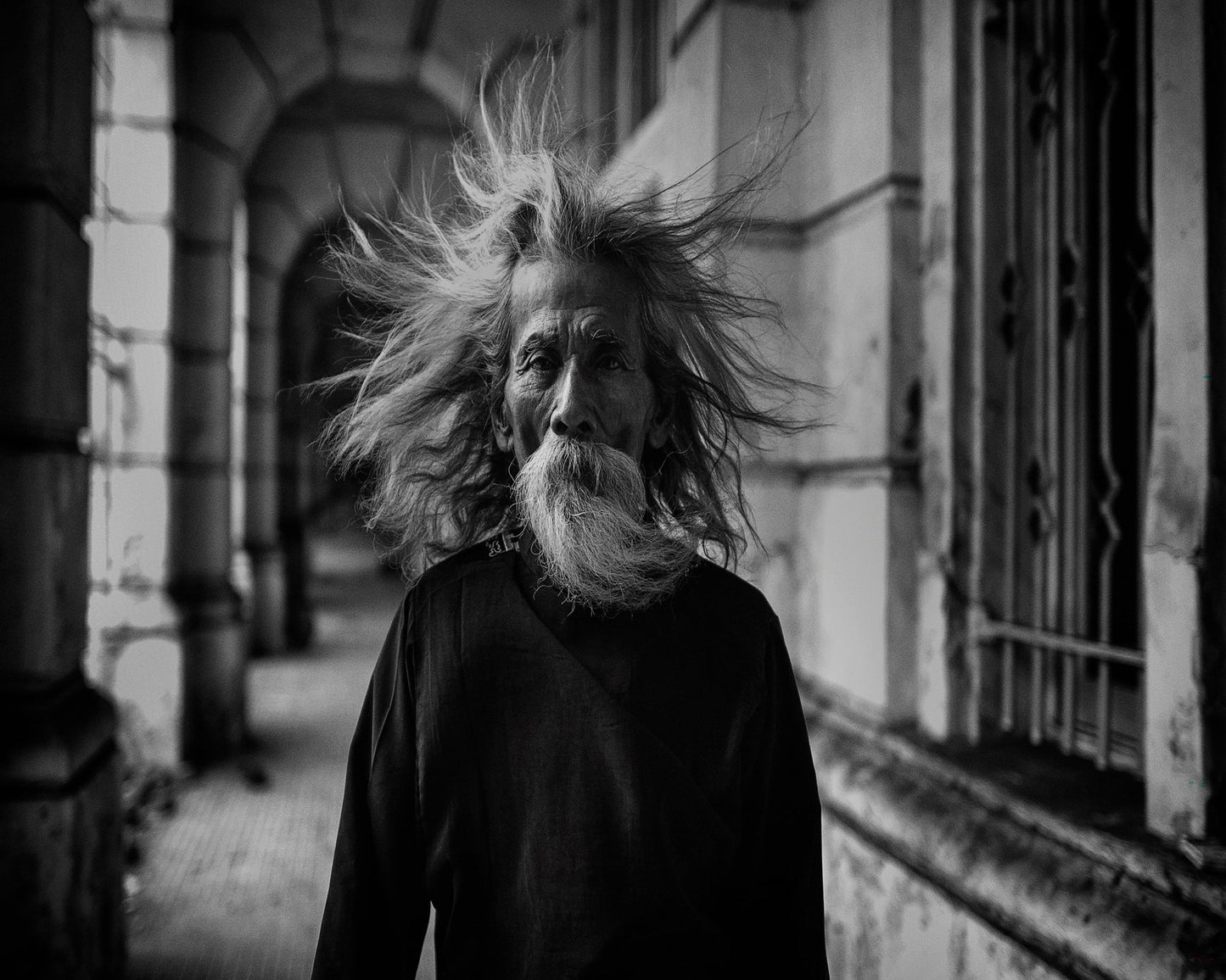 That Summer The Wind Blows
