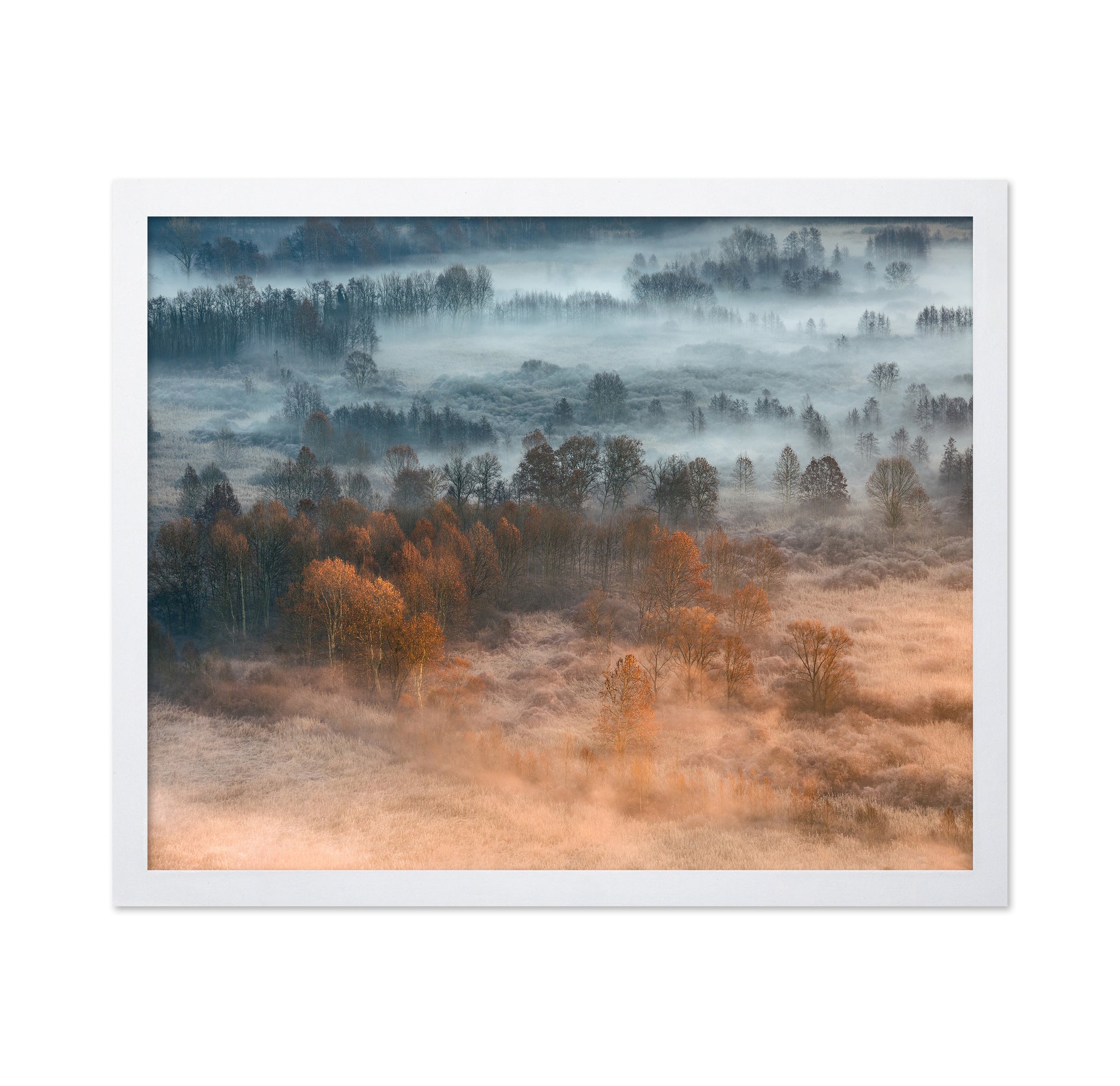 Autumnal Misty Dawn