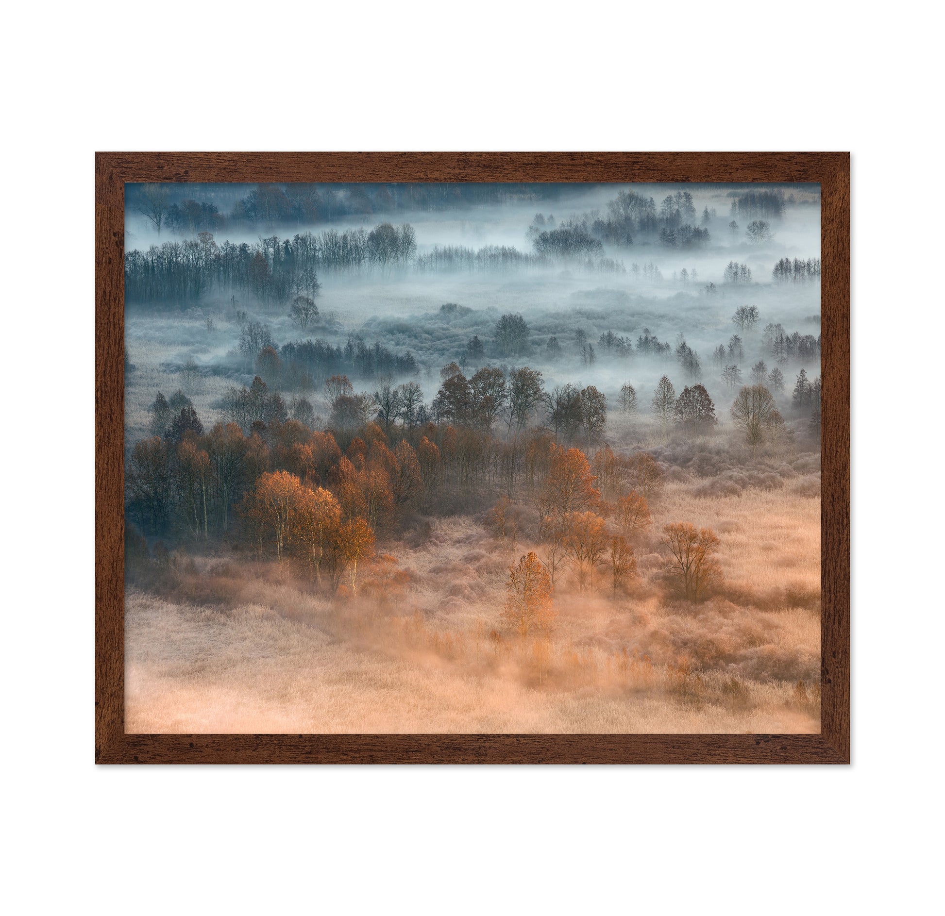 Autumnal Misty Dawn