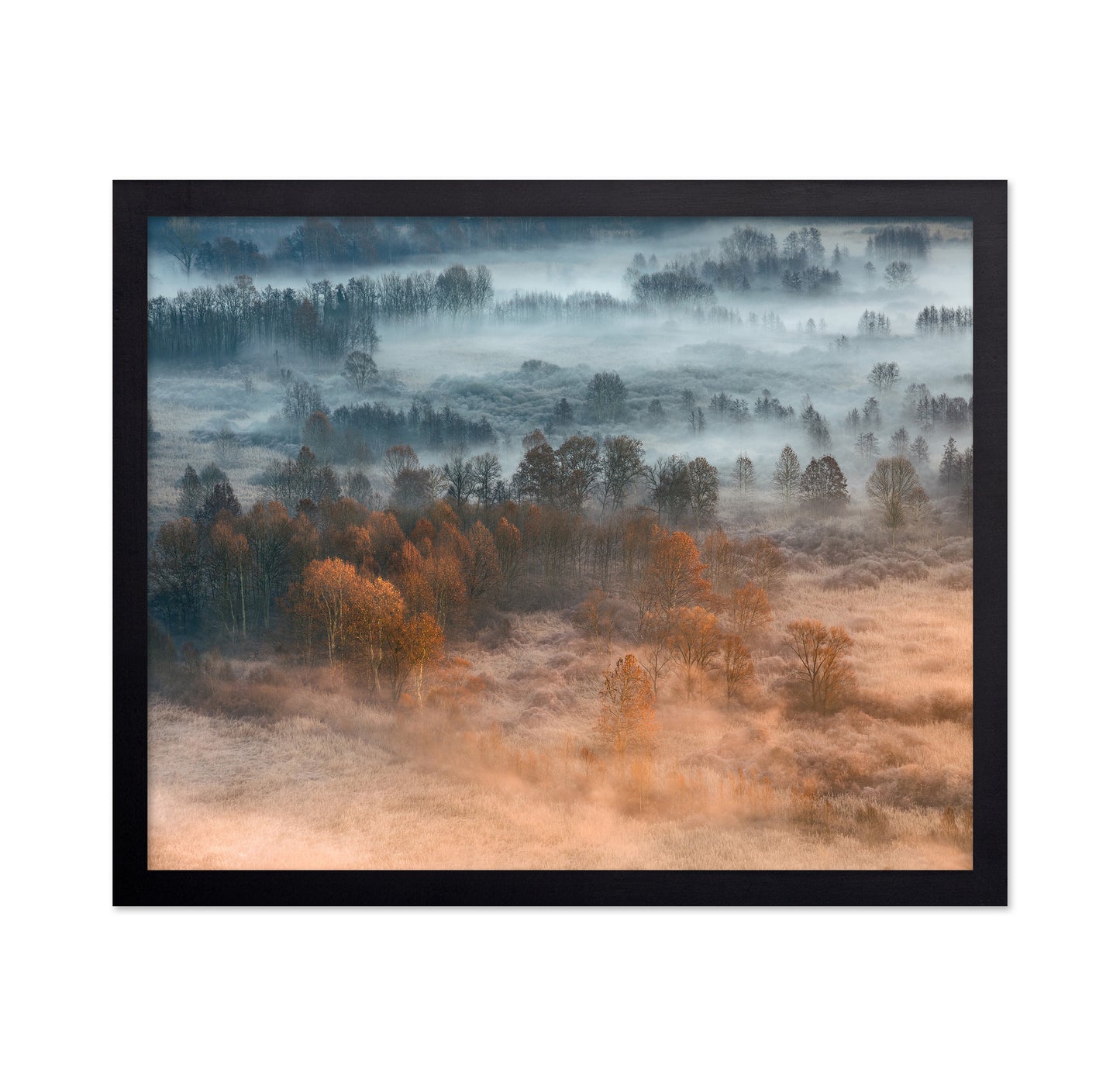 Autumnal Misty Dawn
