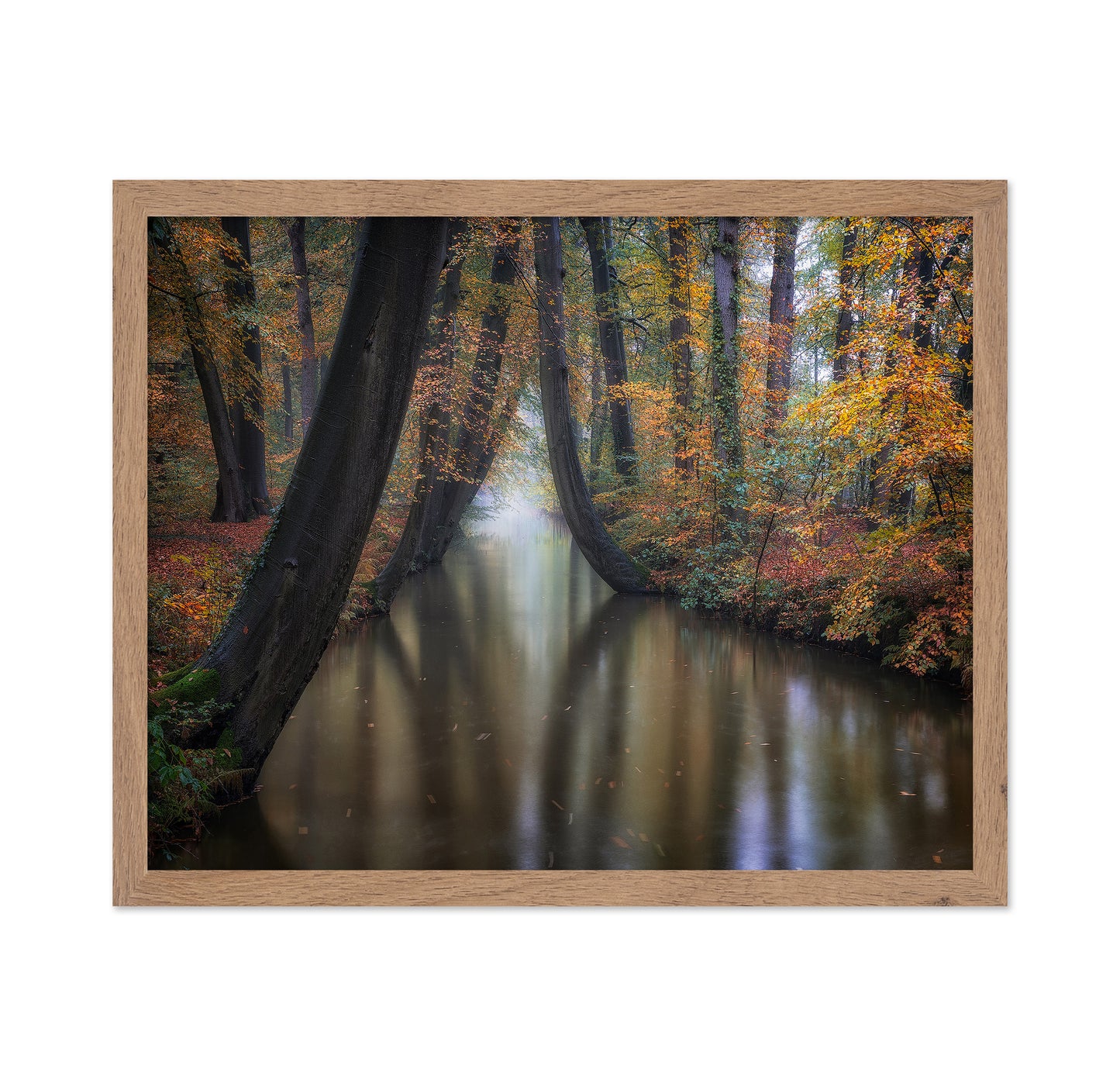 Enchanted Autumn