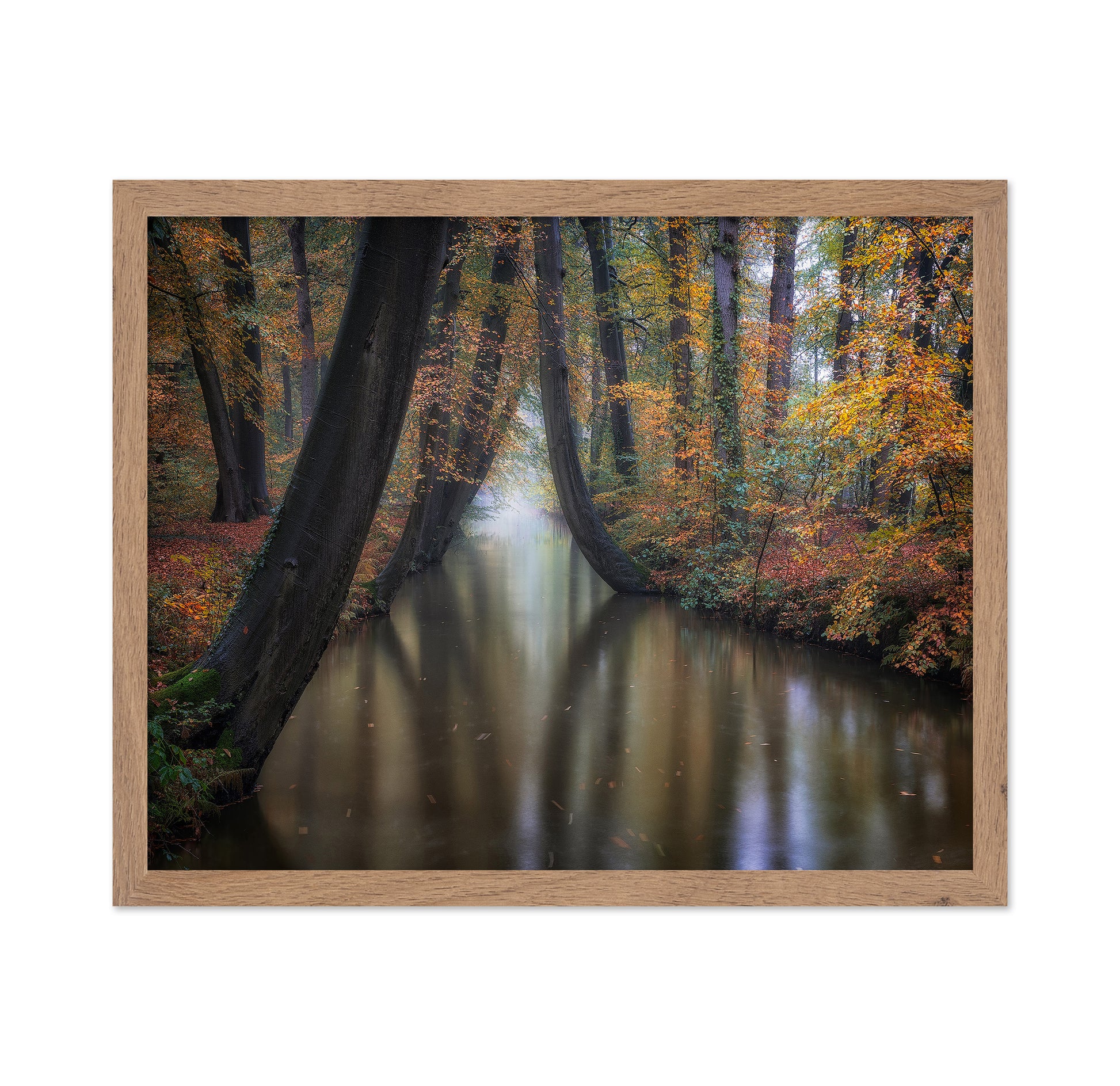 Enchanted Autumn