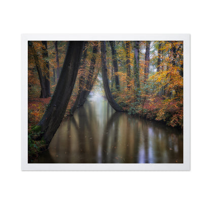 Enchanted Autumn