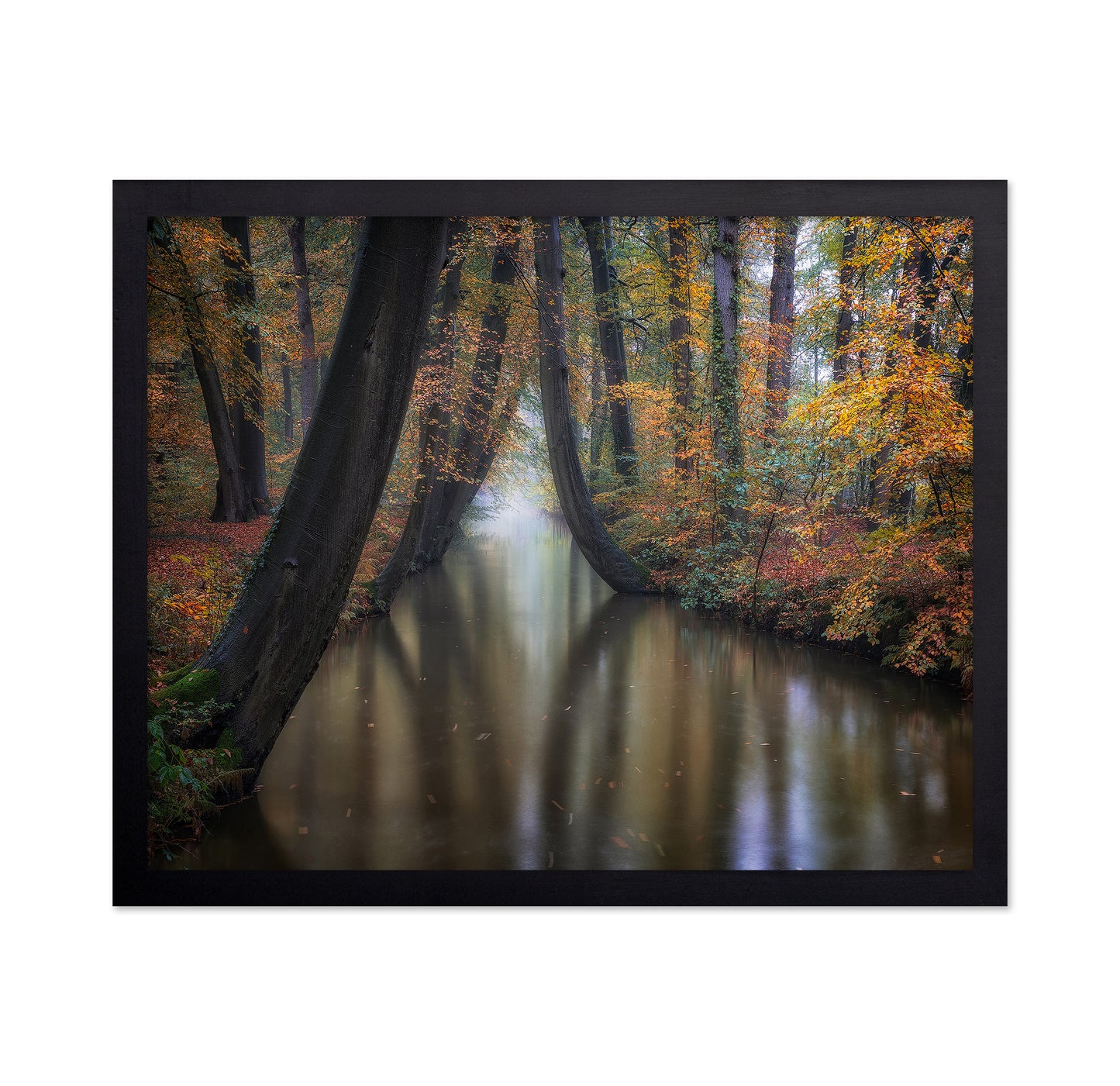 Enchanted Autumn