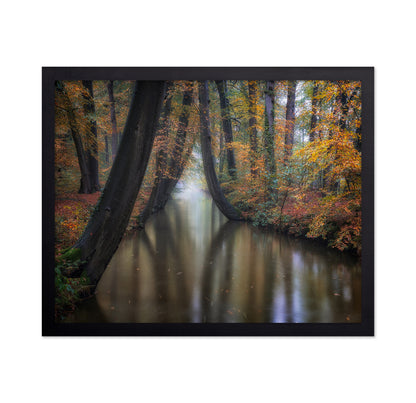 Enchanted Autumn
