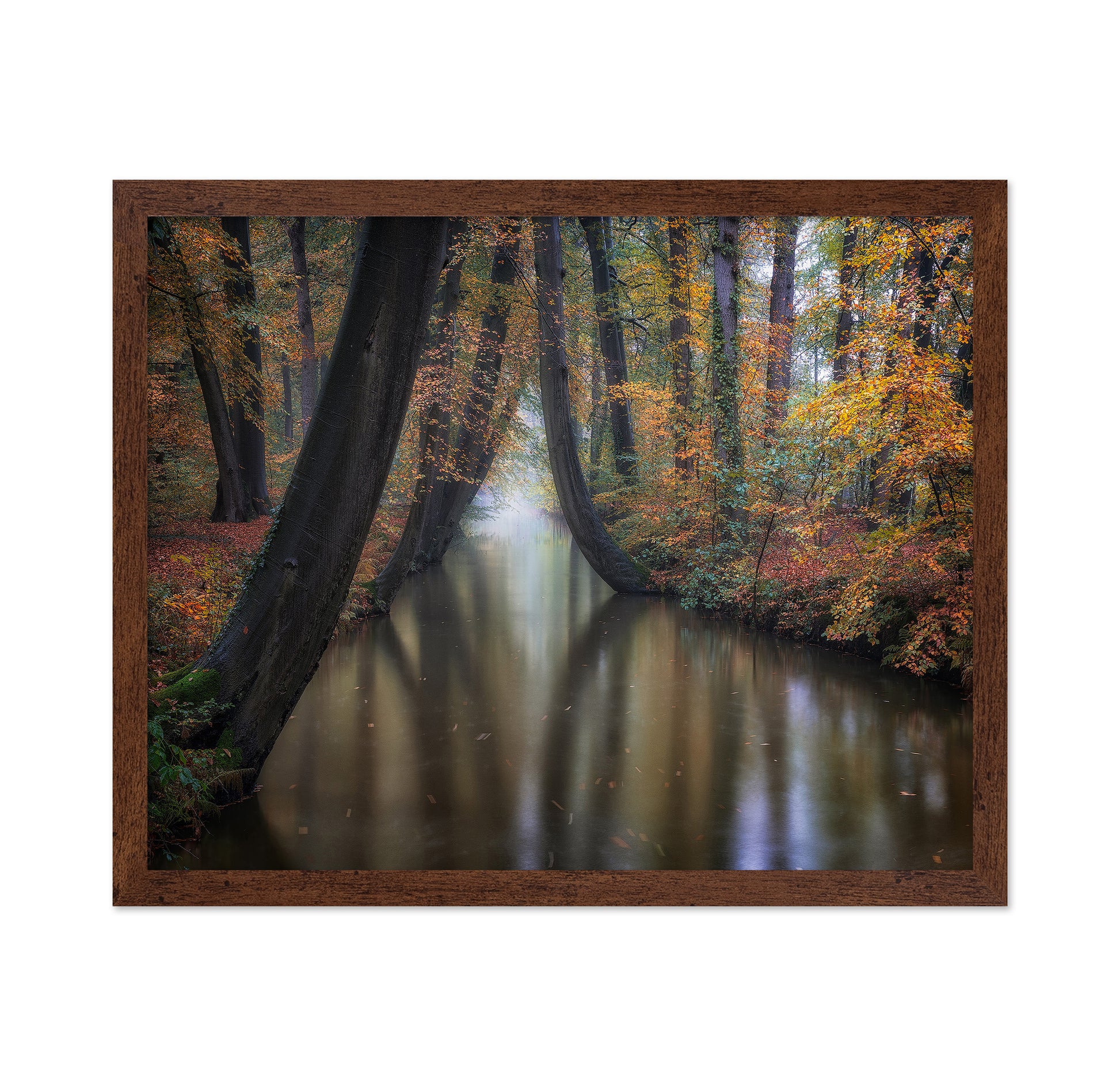 Enchanted Autumn
