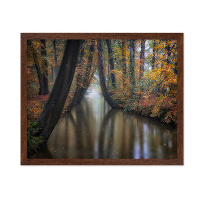 Enchanted Autumn