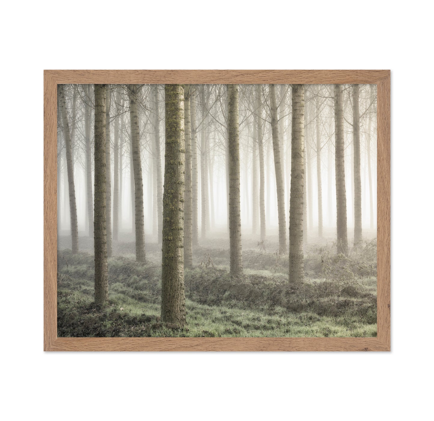 Small Woodland
