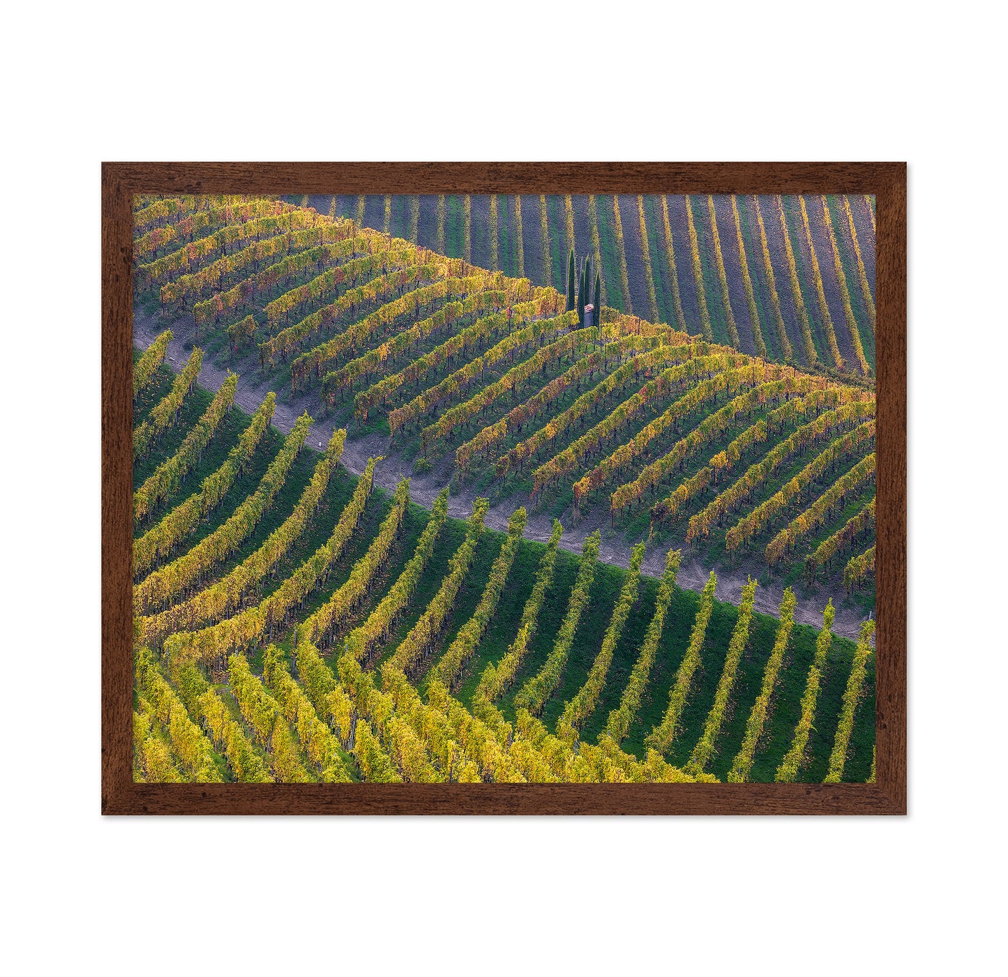 Vineyards