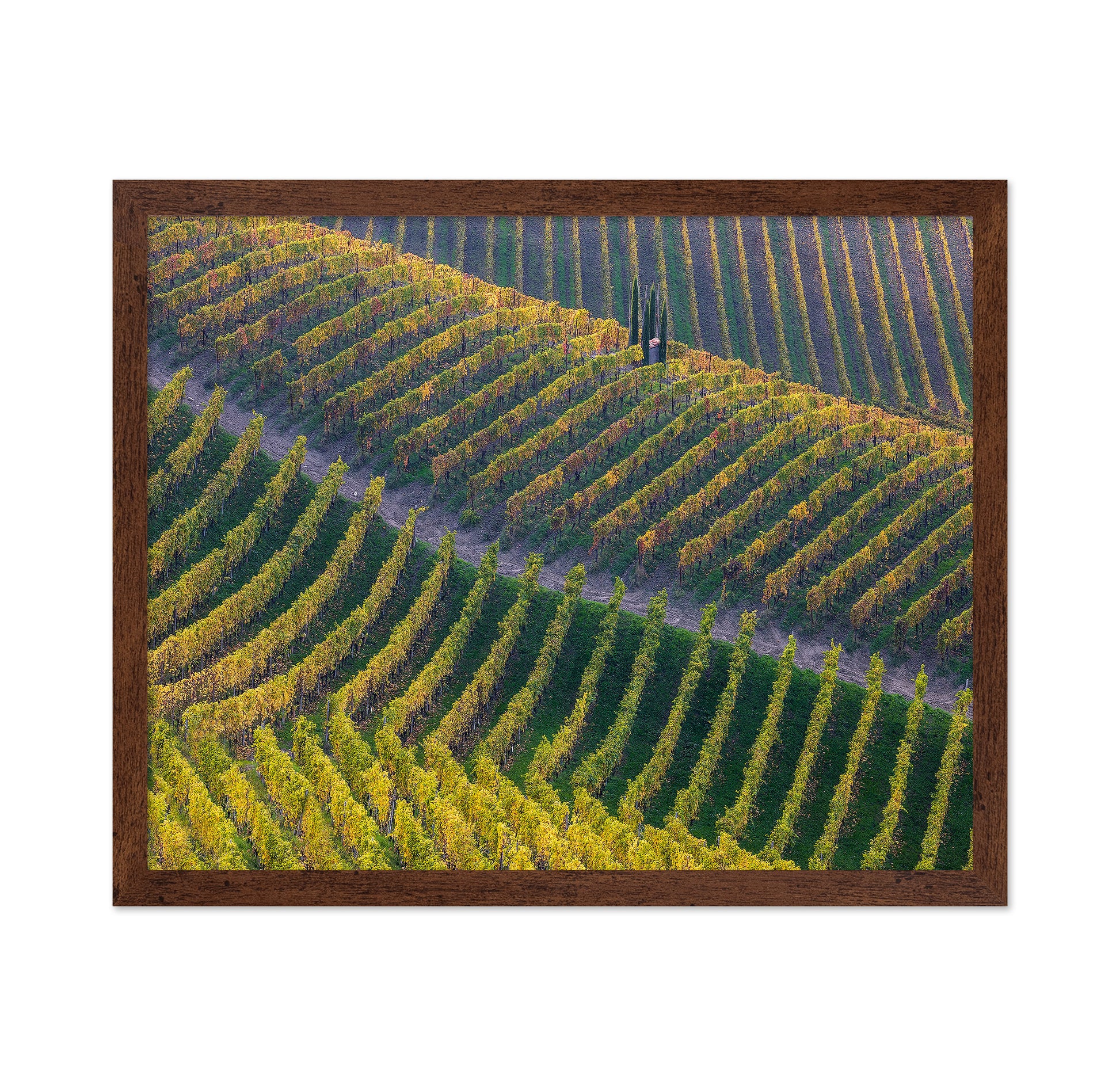 Vineyards