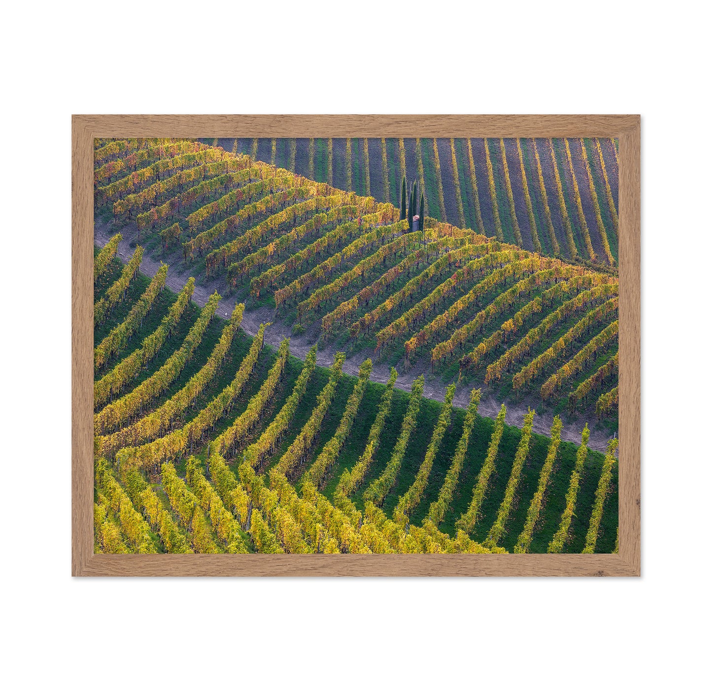 Vineyards