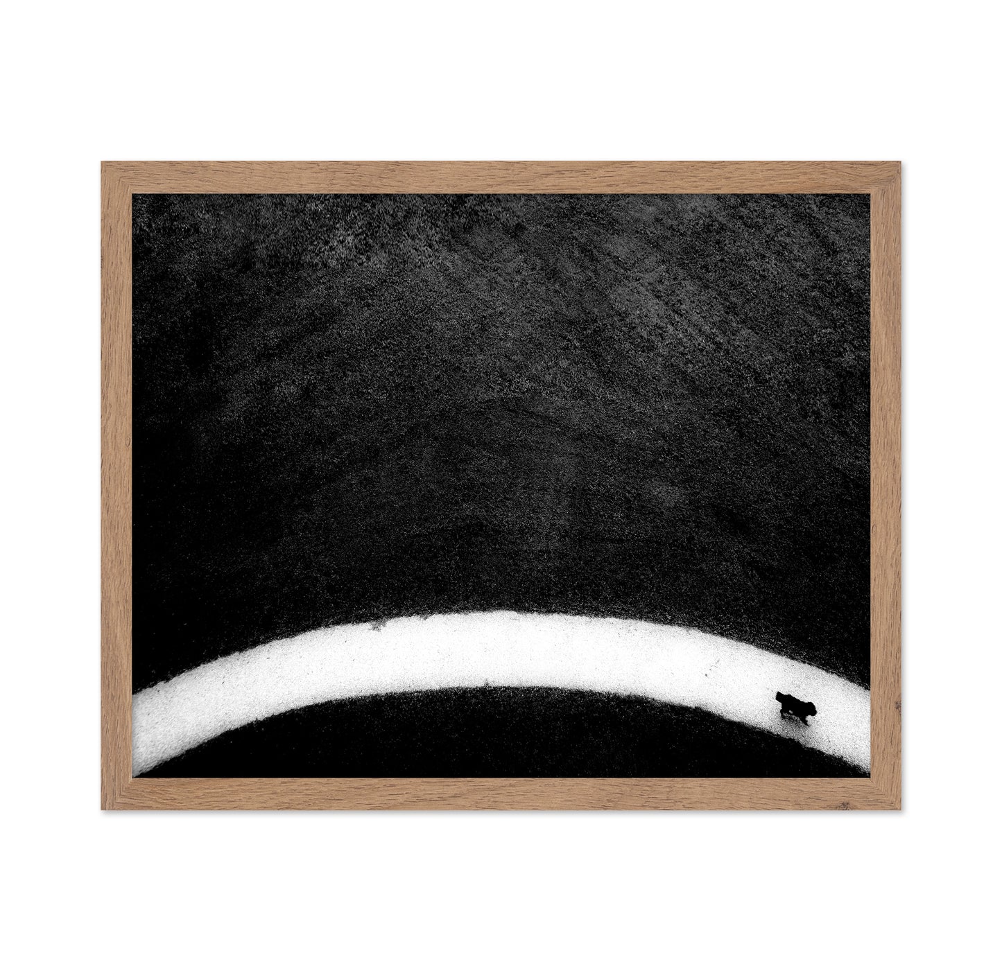 Black Dog