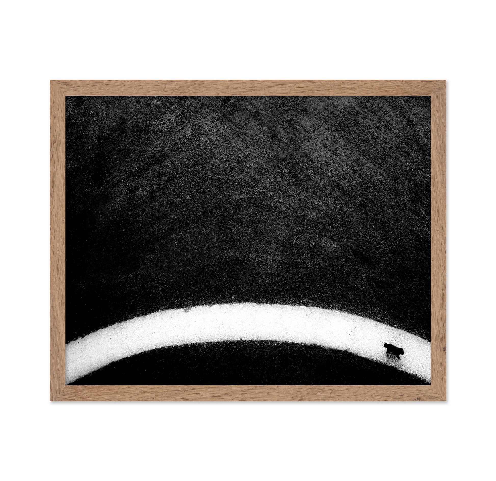 Black Dog