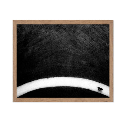 Black Dog
