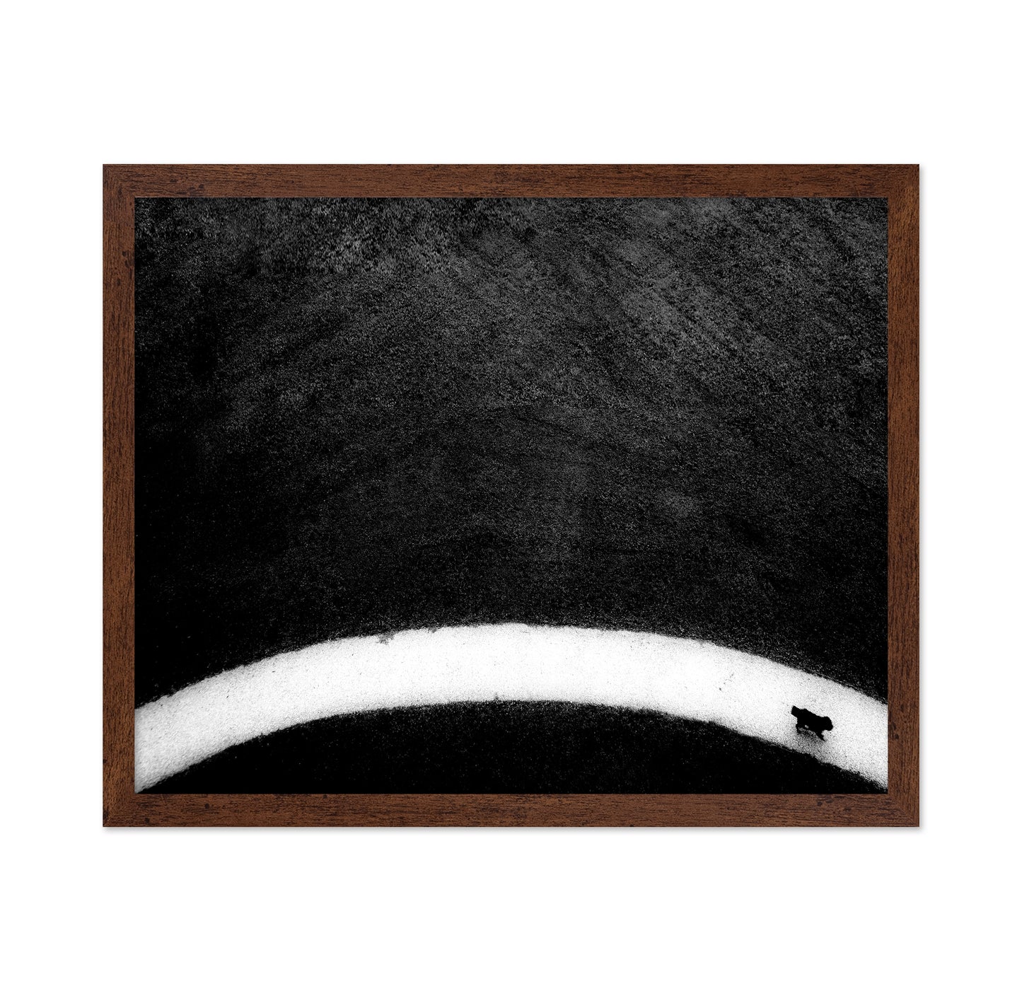 Black Dog