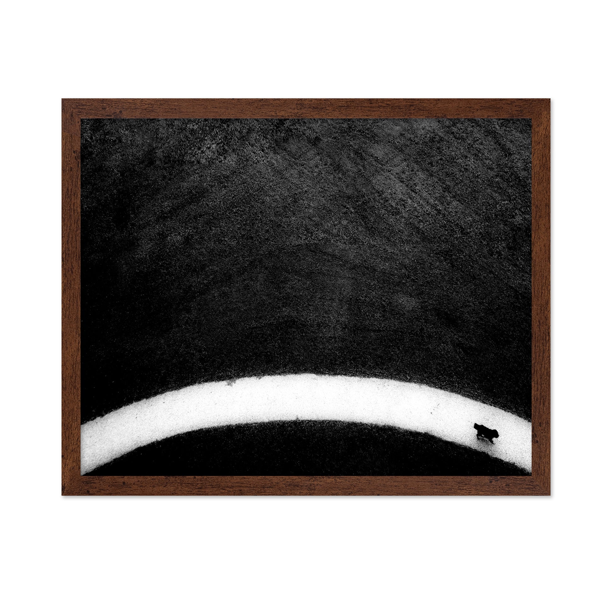 Black Dog