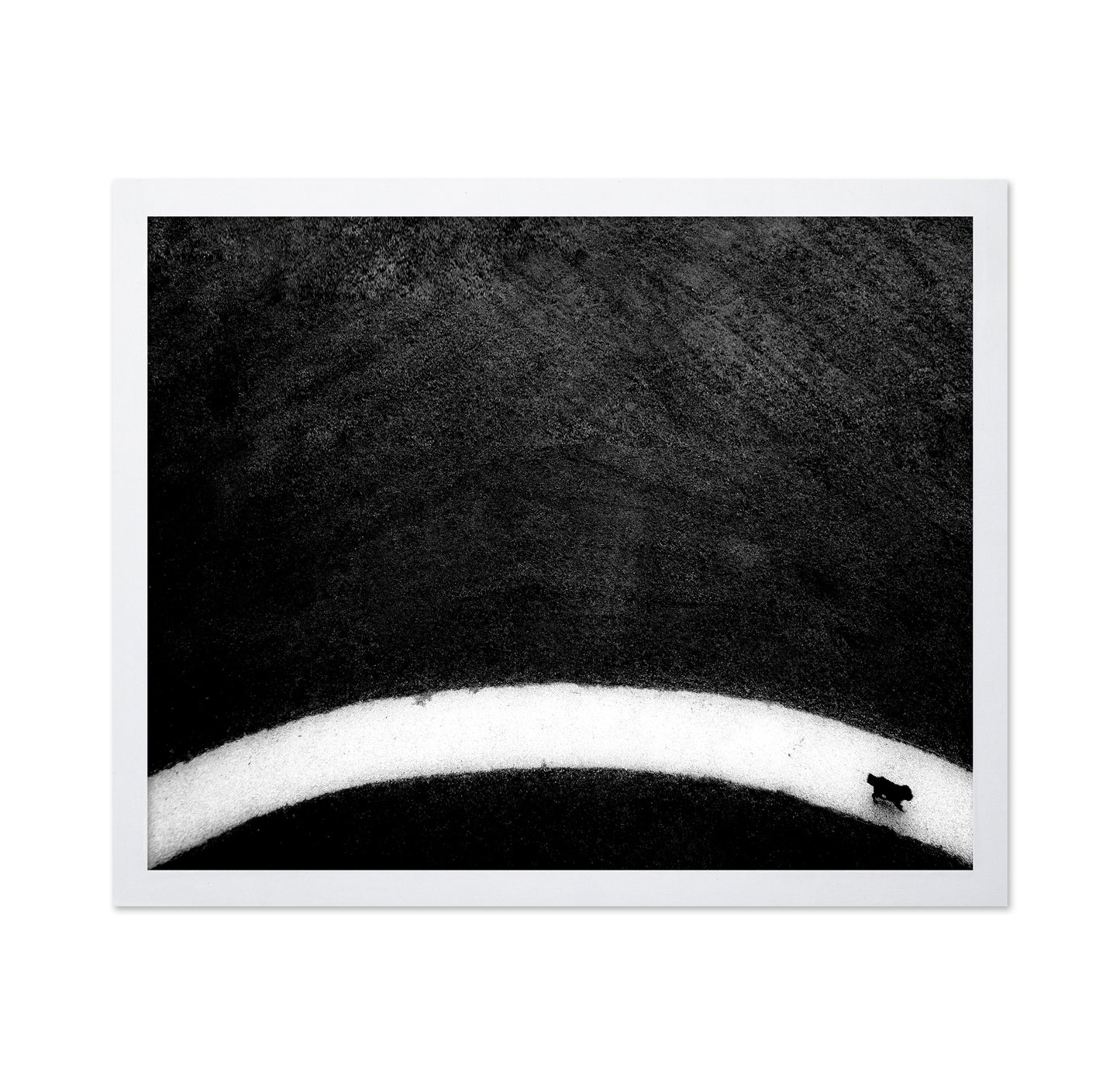 Black Dog