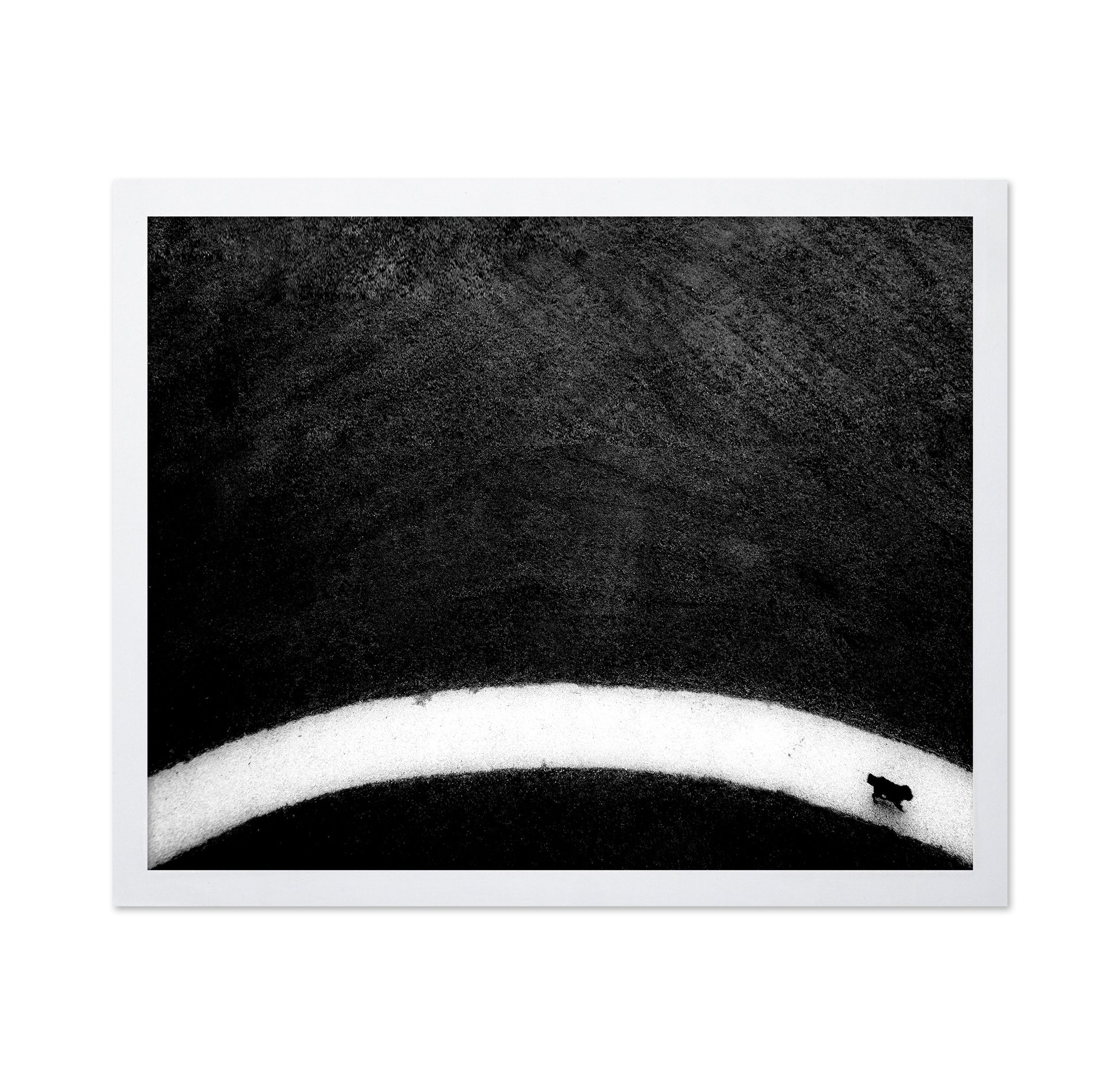 Black Dog