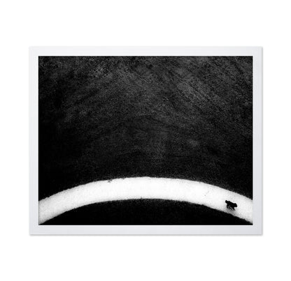 Black Dog