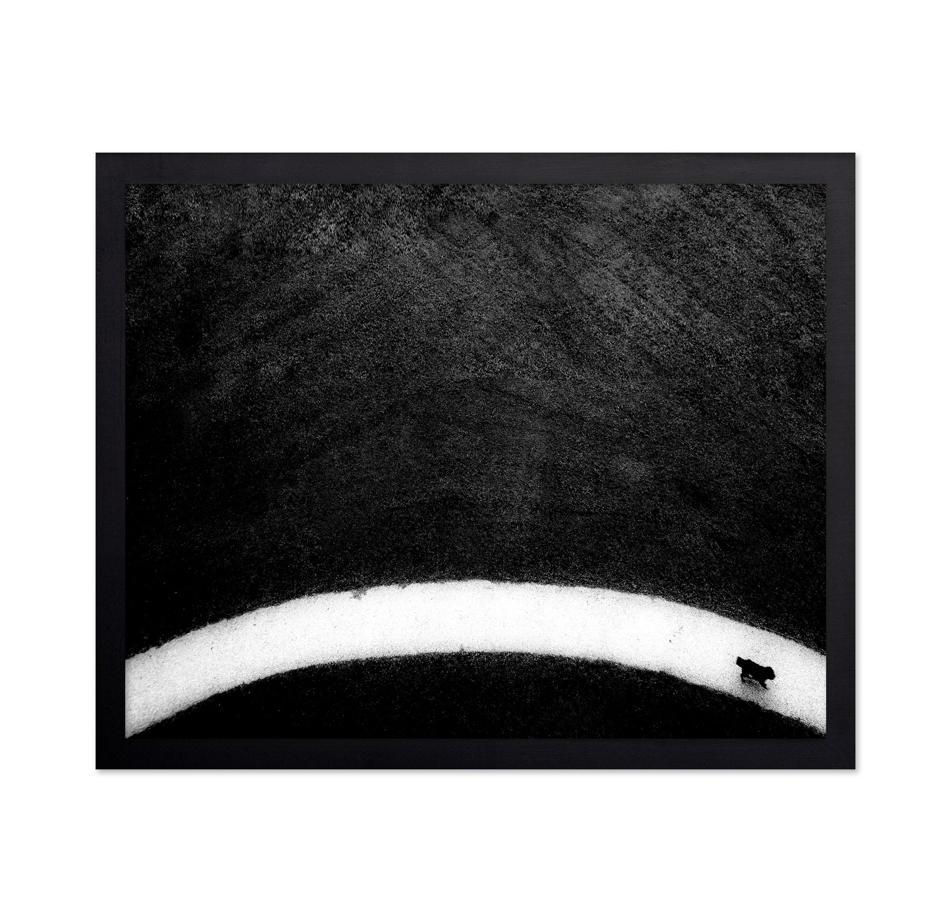 Black Dog