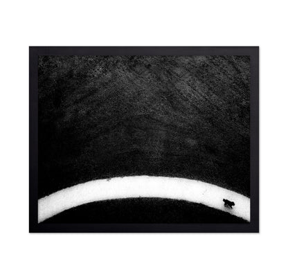 Black Dog