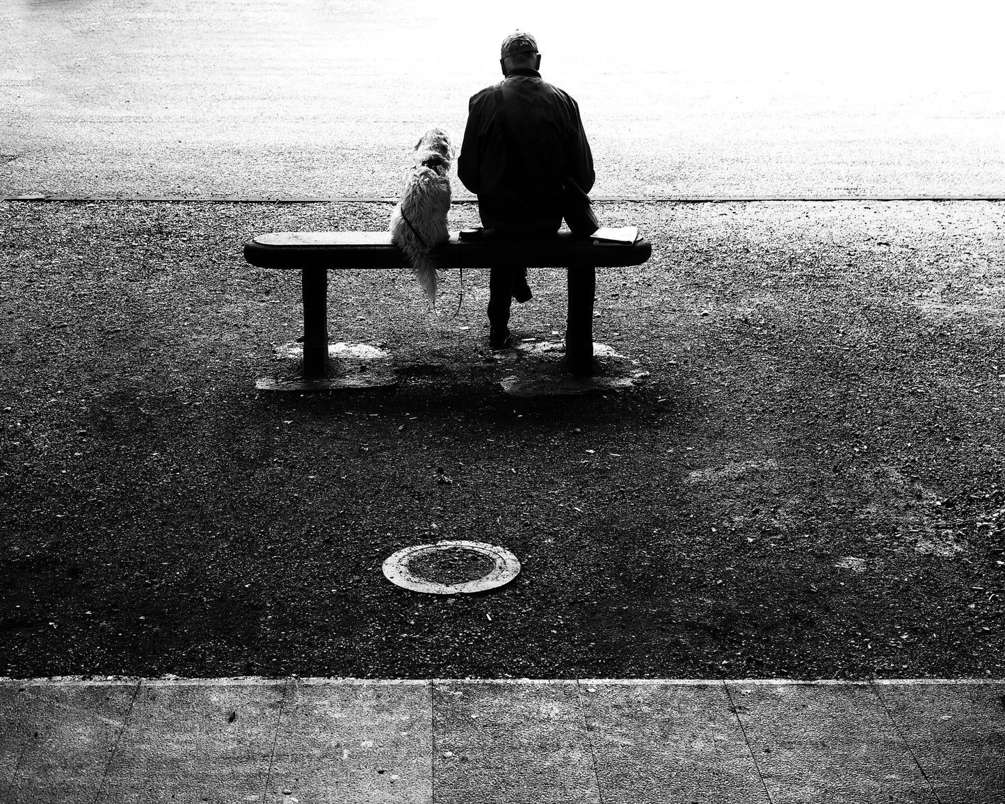 Companionship