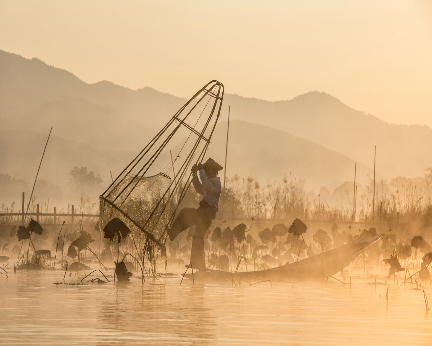 Good Morning Let's Fishing