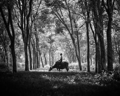 My Carabao