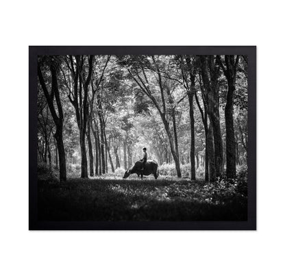 My Carabao