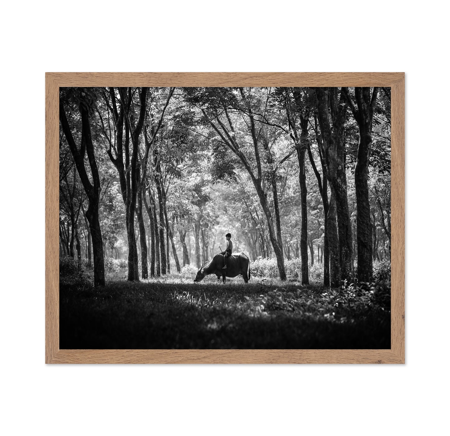 My Carabao