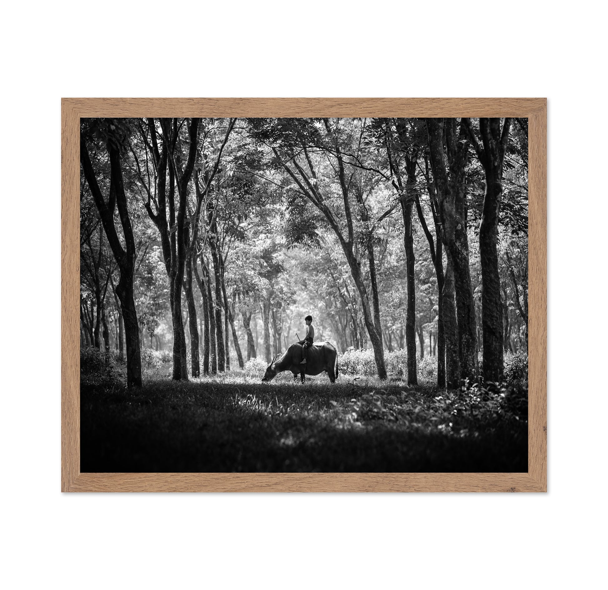 My Carabao