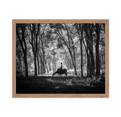 My Carabao