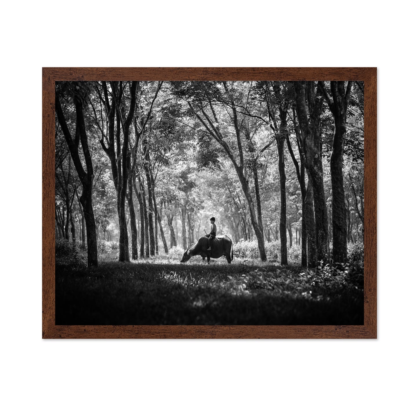 My Carabao