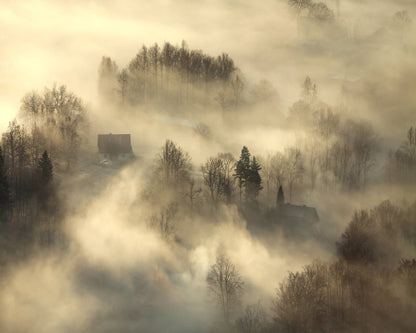 Foggy Countryside Dawn