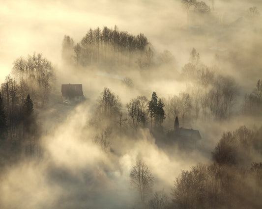 Foggy Countryside Dawn
