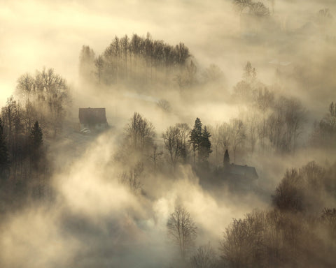 Foggy Countryside Dawn