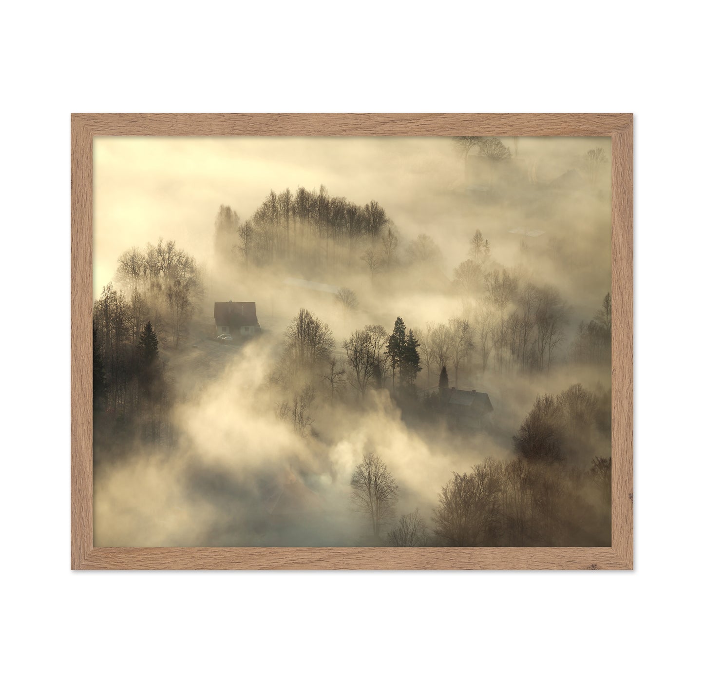 Foggy Countryside Dawn