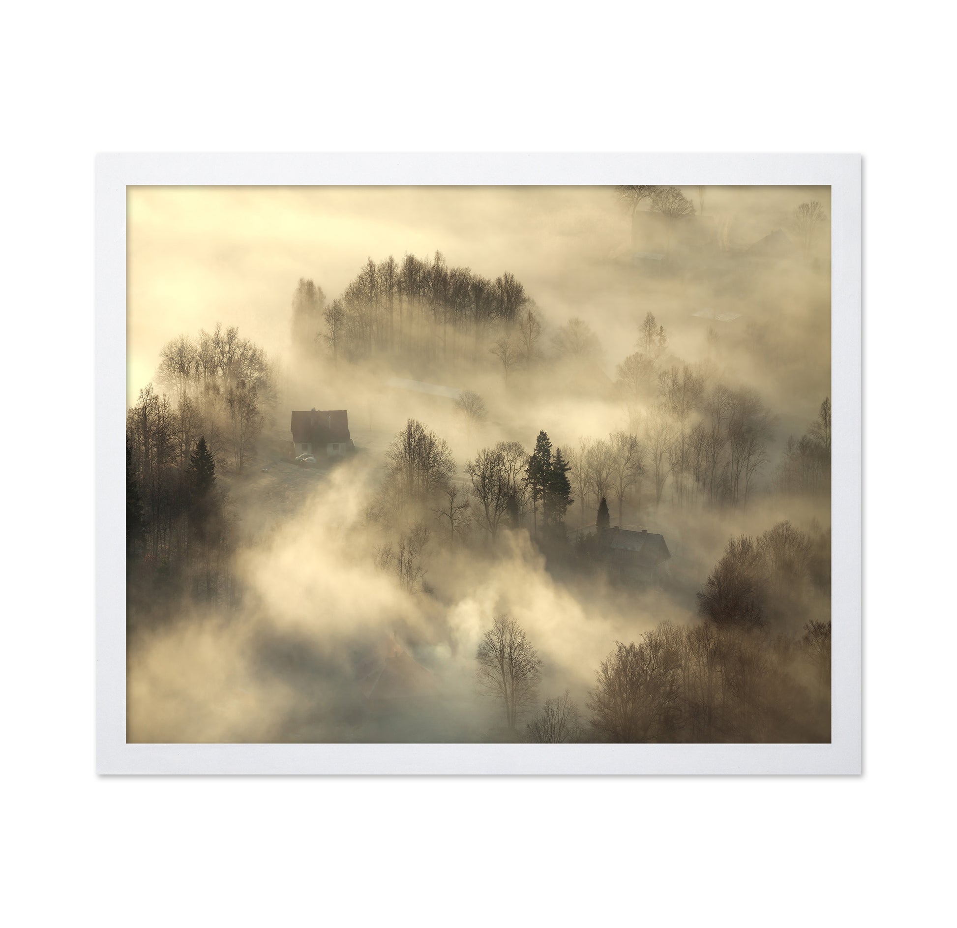 Foggy Countryside Dawn