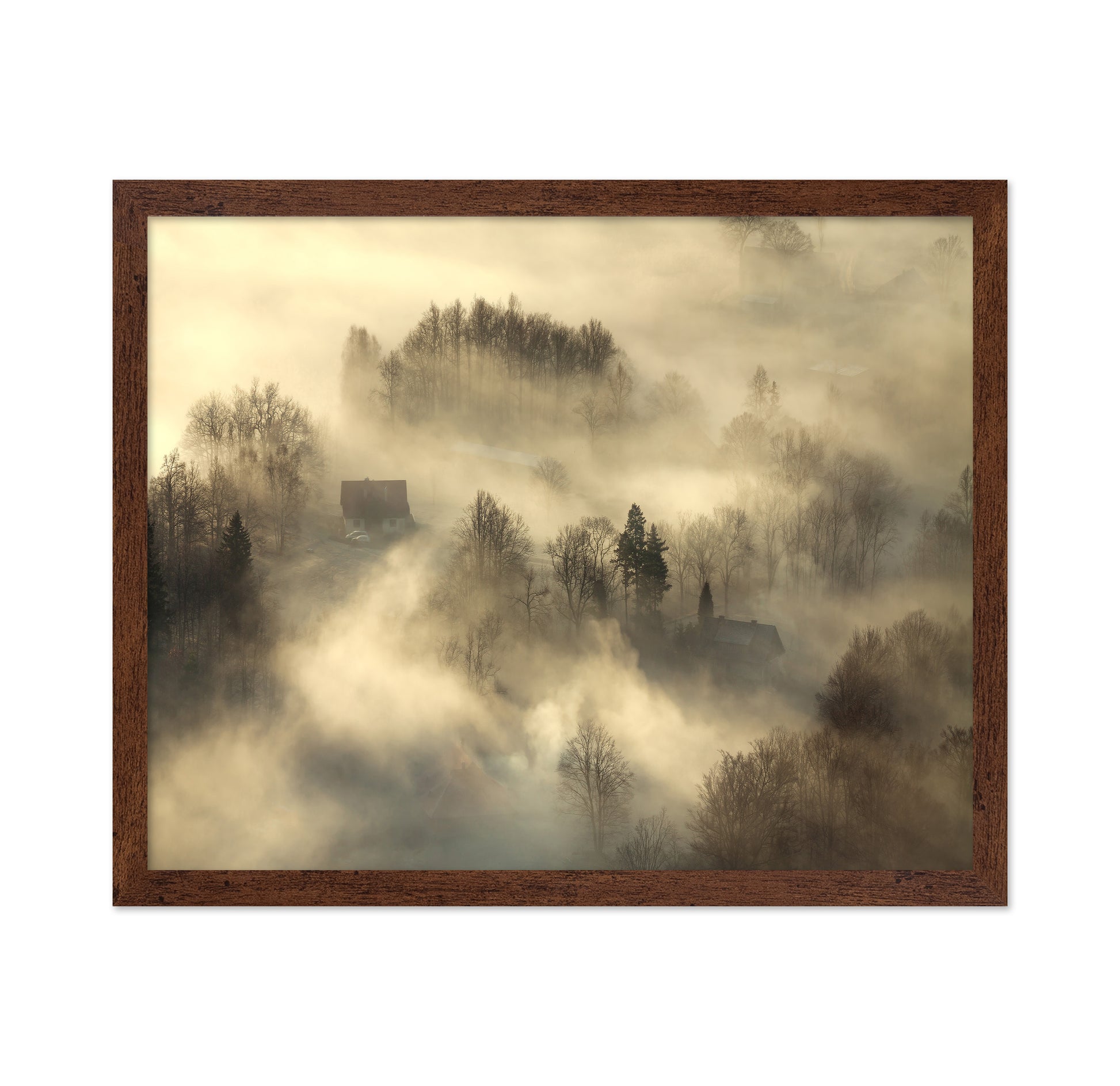 Foggy Countryside Dawn