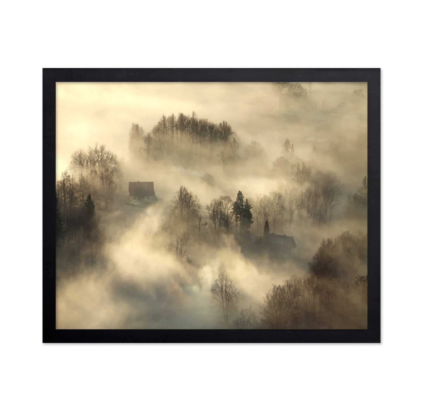 Foggy Countryside Dawn