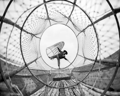 Through Fish Net
