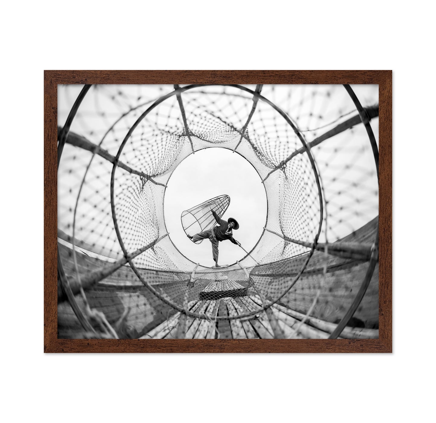 Through Fish Net