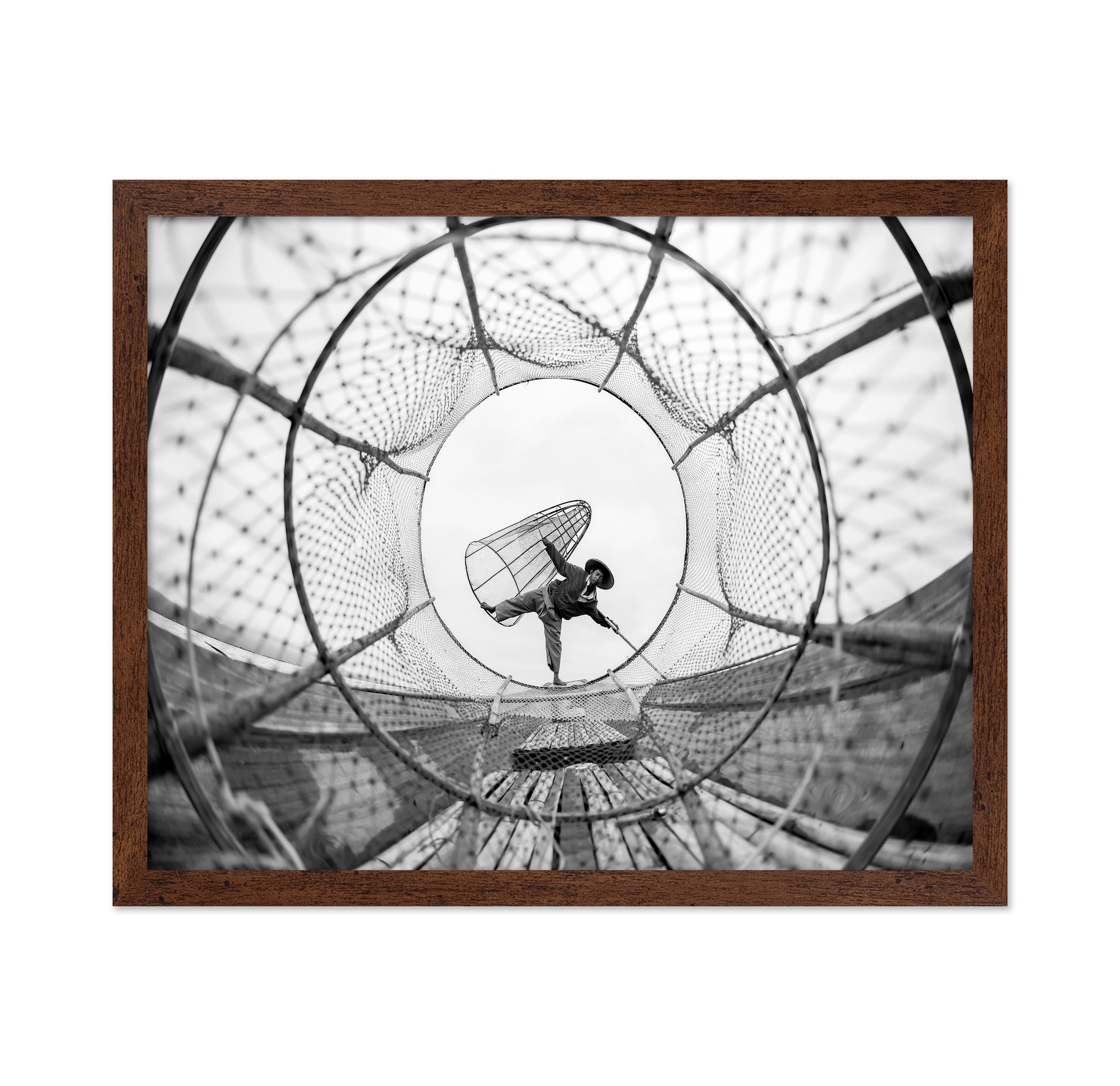Through Fish Net