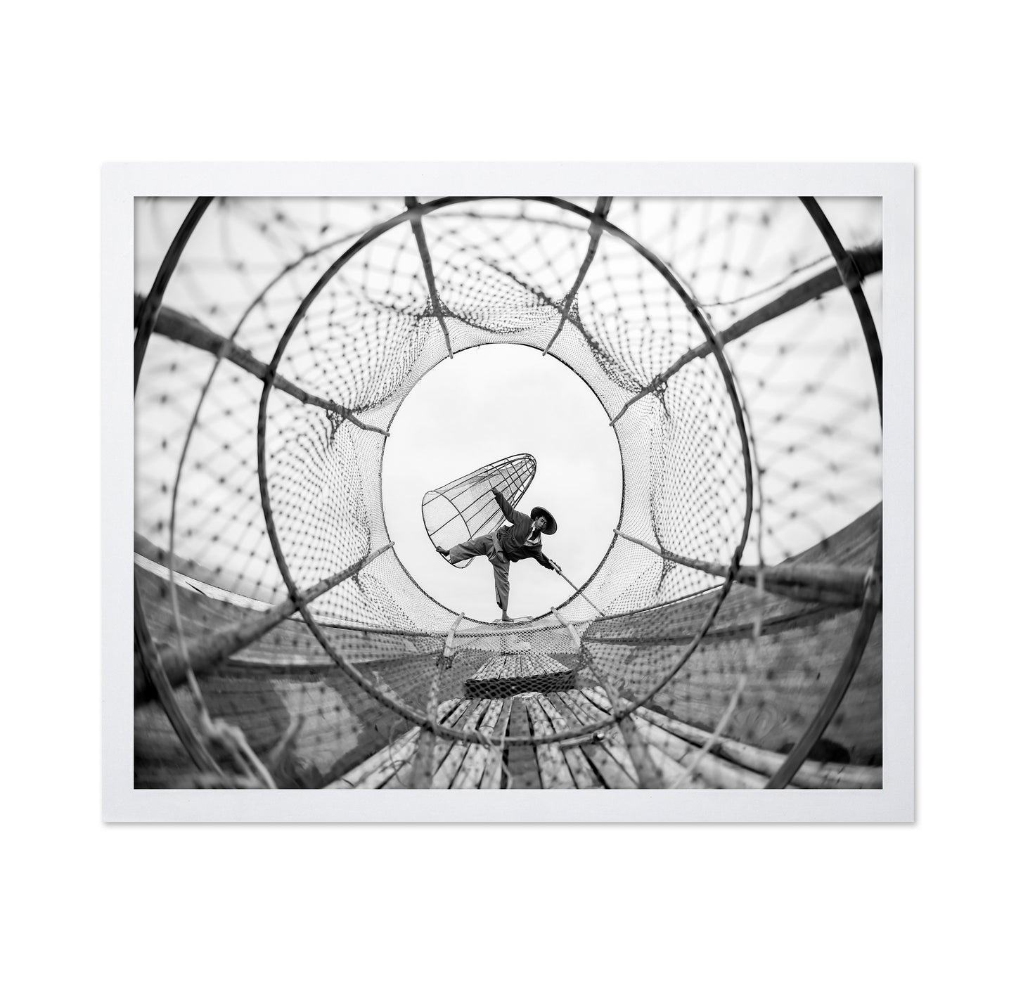 Through Fish Net