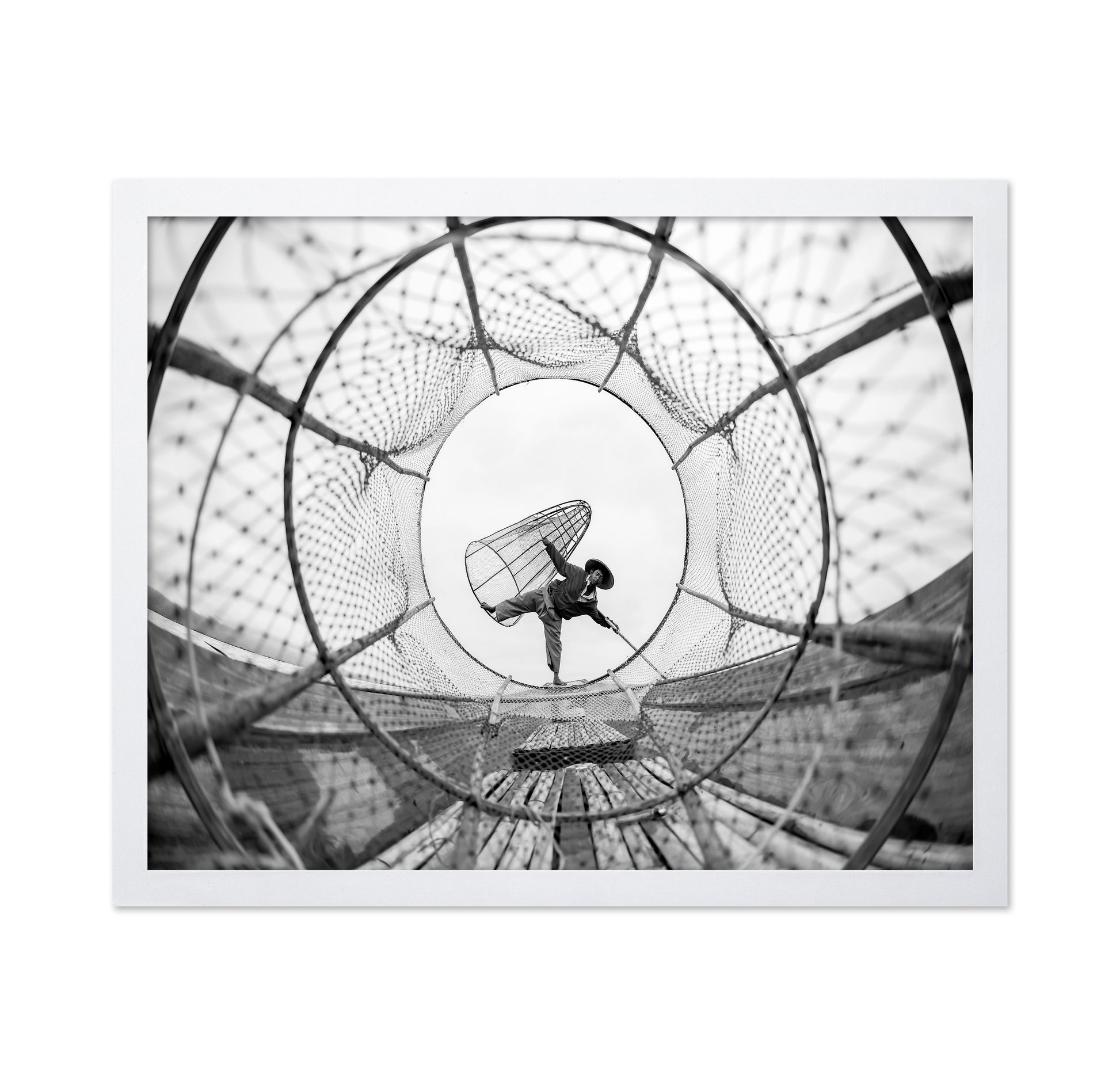 Through Fish Net